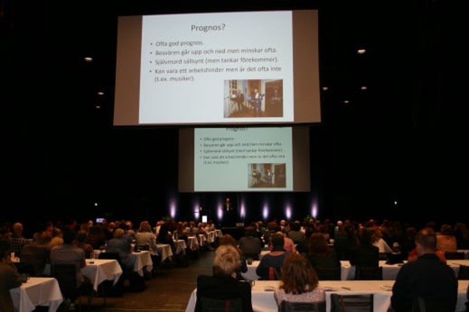 Billede af slides fra Fællesnordisk konference