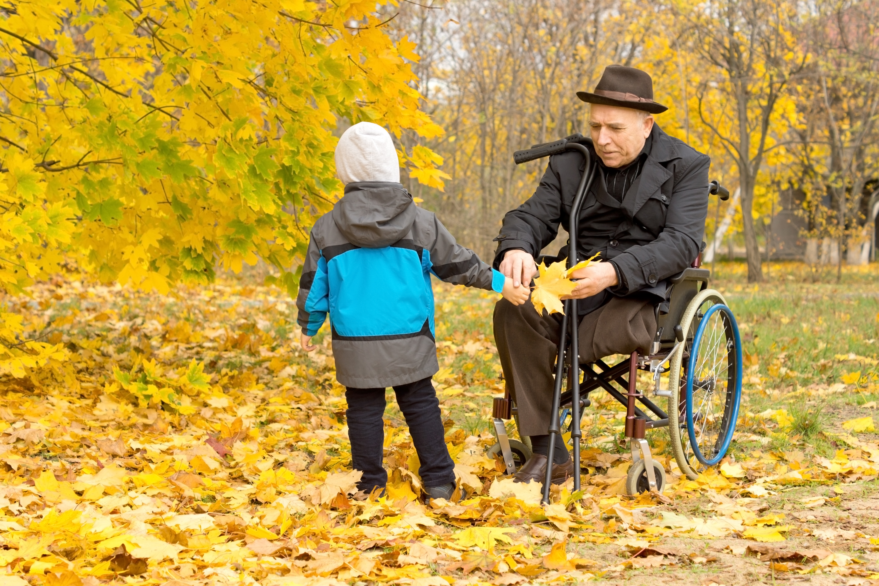 Ældre herre i kørestol leger med visne blade med et lille barn