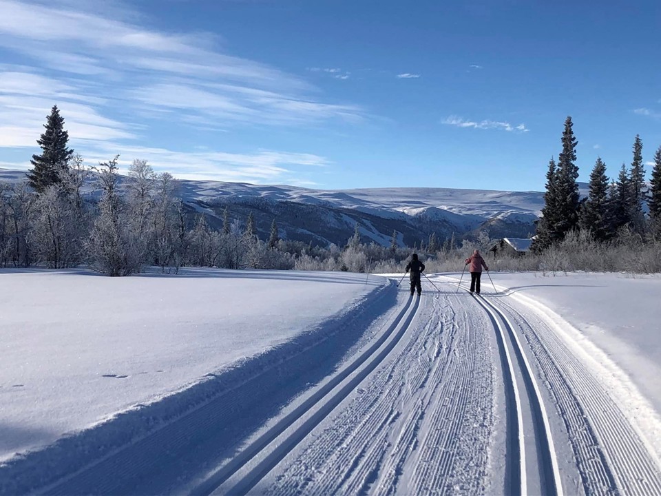 to unge med alvorlig synsnedsættelse står på ski på en solvejrsdag